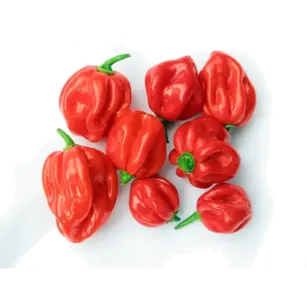 Scotch Bonnet Peppers 200g